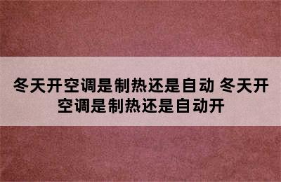 冬天开空调是制热还是自动 冬天开空调是制热还是自动开